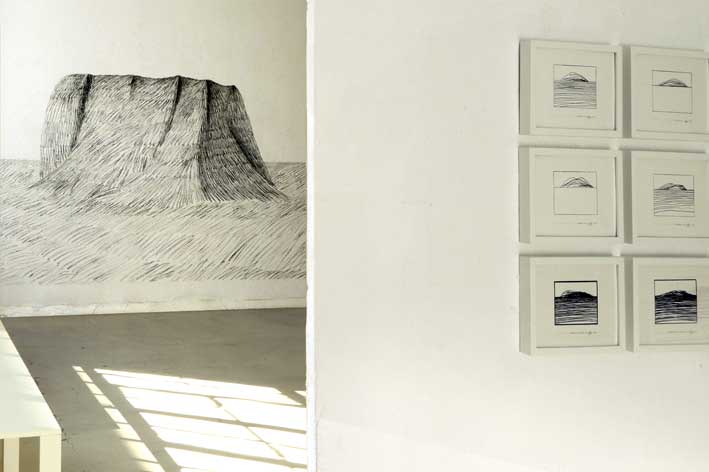 Jean-Pierre Brazs, L'hypothèse de l'île, vue de l'installation