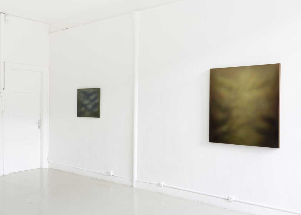 Josée Pitteloud, vue partielle de l'exposition, deuxième salle