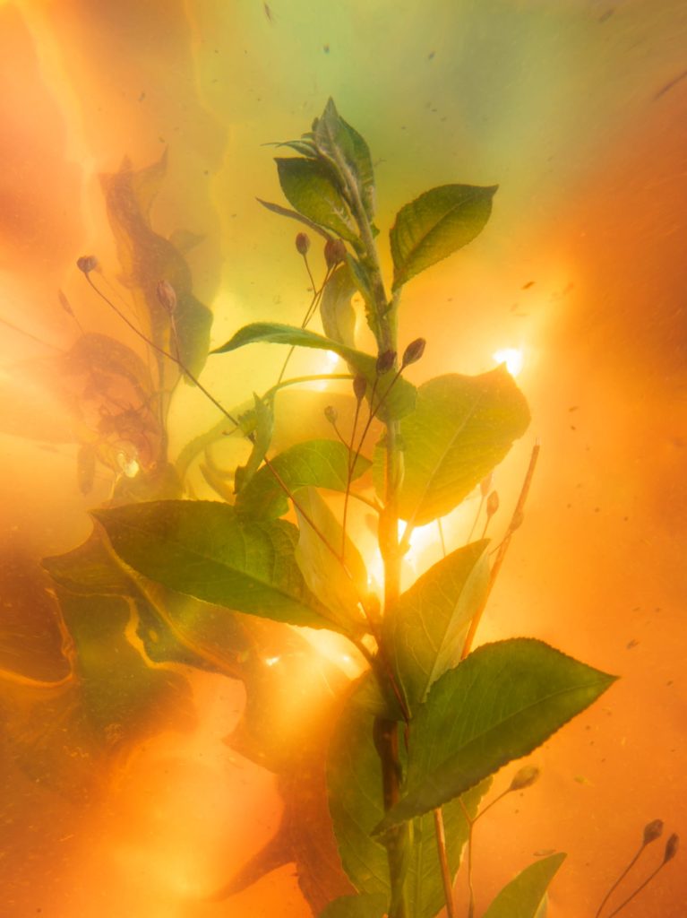 © Gaël Corboz