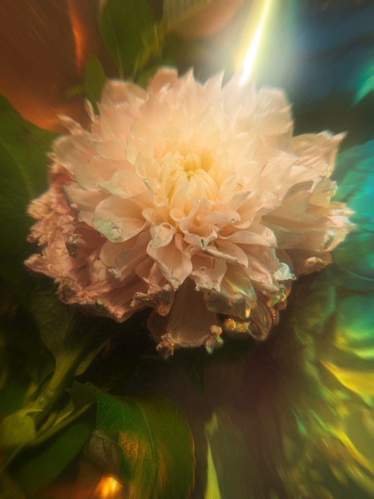 © Gaël Corboz