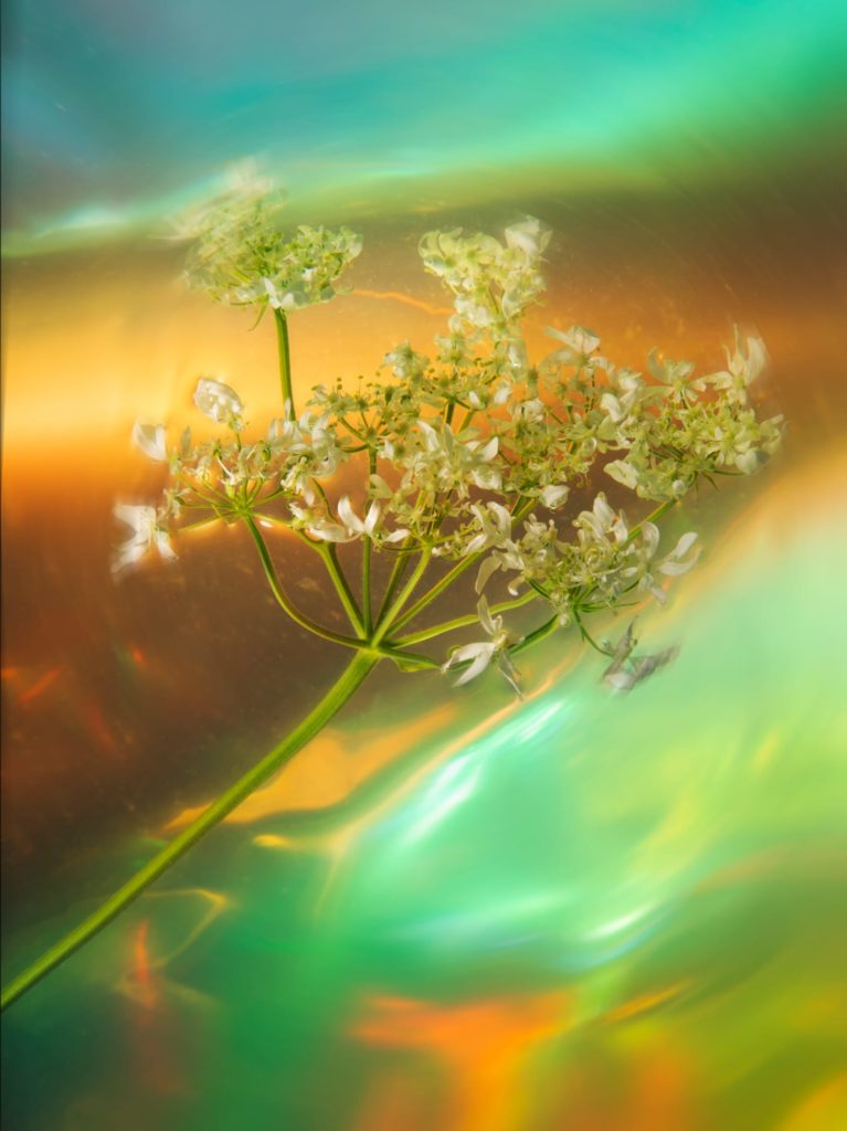 © Gaël Corboz